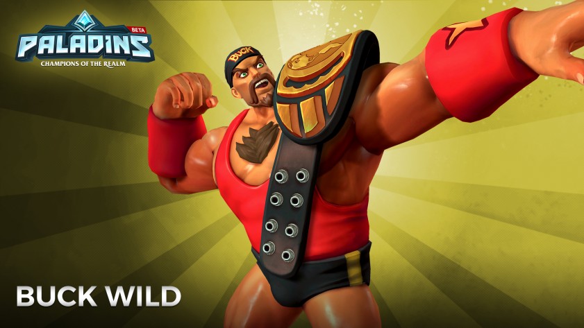 Paladins: Champions of the Realm