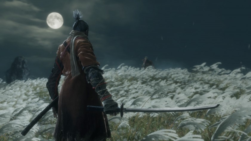 Sekiro: Shadows Die Twice