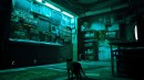 Stray