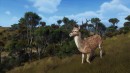 Way of the Hunter