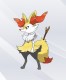 Braixen