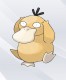 Psyduck