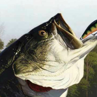Rapala Fishing: Pro Series
