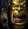 Warcraft 3: Reign of Chaos