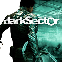 Dark Sector